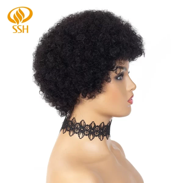 Brazilian Afro Kinky Wigs - Image 26