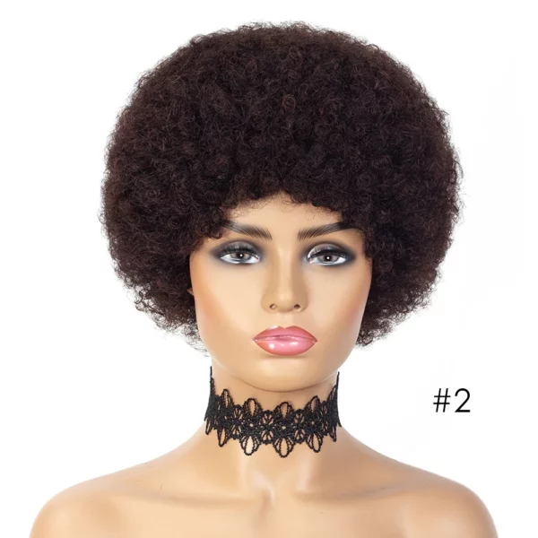 Brazilian Afro Wigs - Image 9