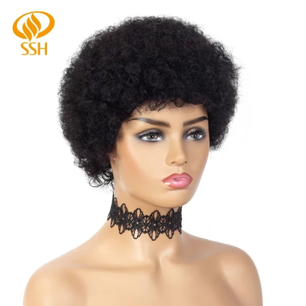 Brazilian Afro Kinky Wigs - Image 24