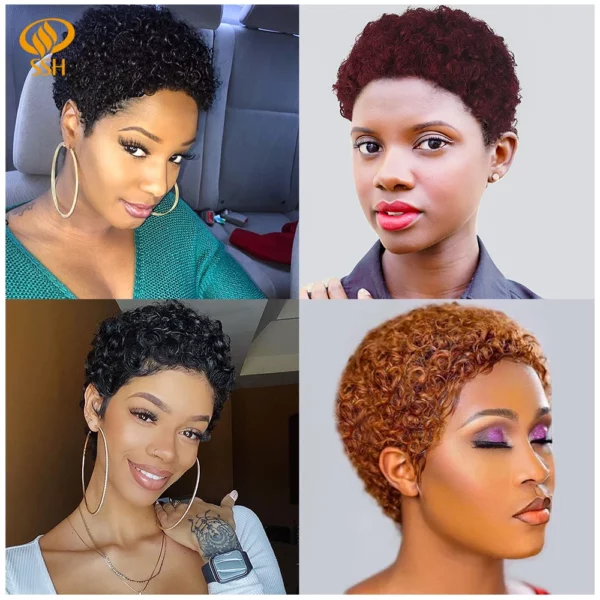 Brazilian Afro Curly Pixie Wig - Image 2