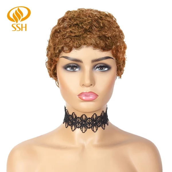 Brazilian Afro Curly Pixie Wig - Image 9