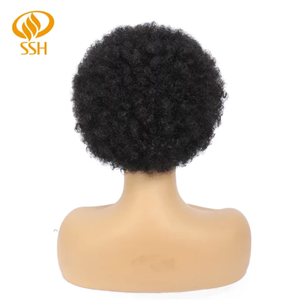 Brazilian Afro Kinky Wigs - Image 16