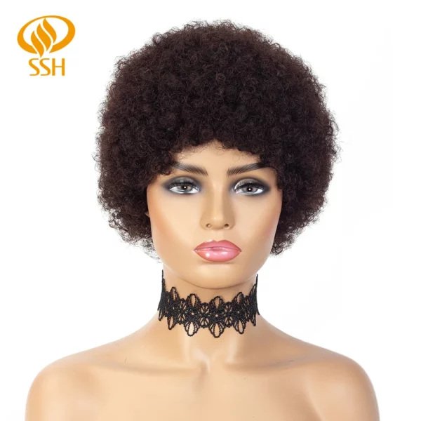 Brazilian Afro Kinky Wigs - Image 29