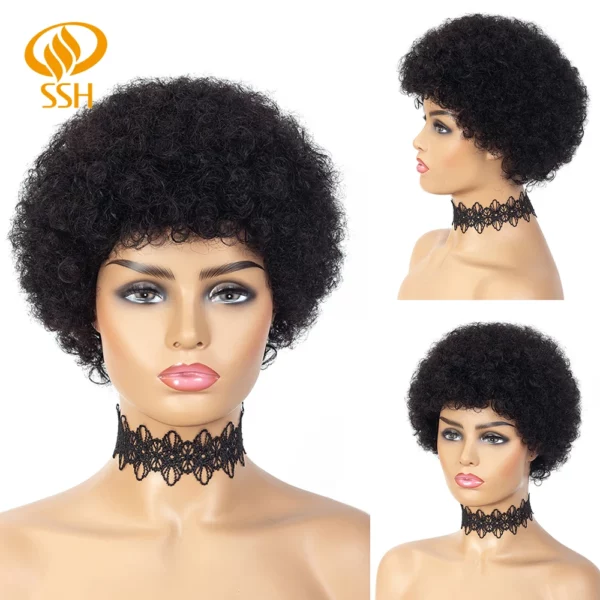 Brazilian Afro Kinky Wigs - Image 23