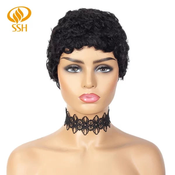 Brazilian Afro Curly Pixie Wig - Image 13