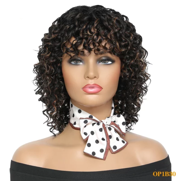 Curly Brazilian Wigs - Image 10