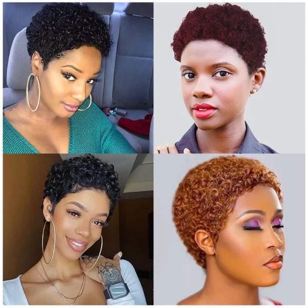 Brazilian Afro Curly Pixie Wig - Image 12