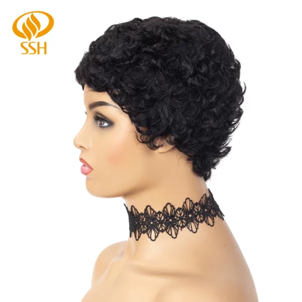 Brazilian Afro Curly Pixie Wig - Image 16