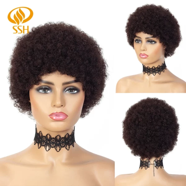 Brazilian Afro Kinky Wigs - Image 28