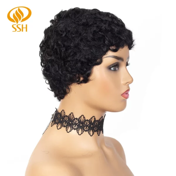 Brazilian Afro Curly Pixie Wig - Image 14
