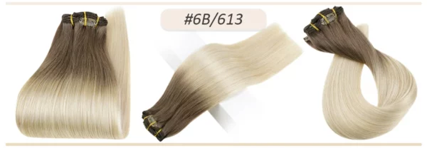 Clip In Hair Extensions Double Weft Straight - Image 57