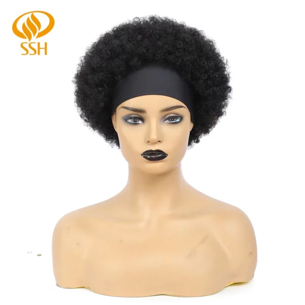 Brazilian Afro Kinky Wigs - Image 10