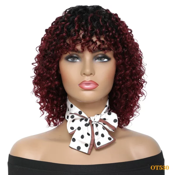 Curly Brazilian Wigs - Image 11