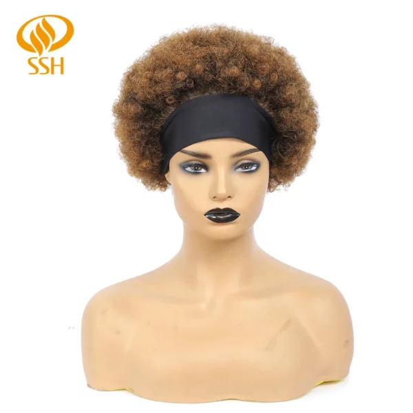 Brazilian Afro Kinky Wigs - Image 17