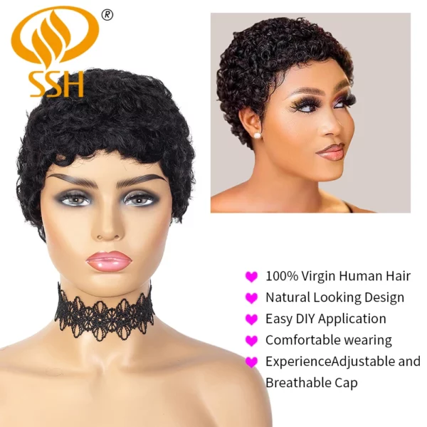 Brazilian Afro Curly Pixie Wig - Image 3