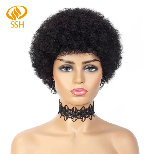 Brazilian Afro Kinky Wigs - Image 8