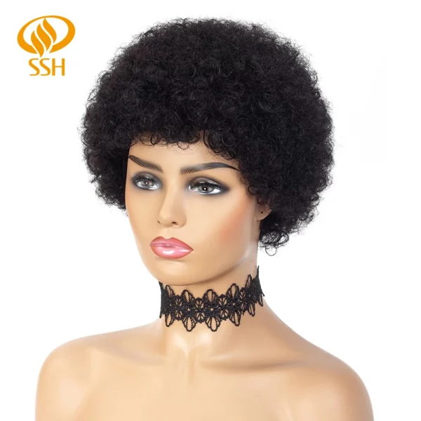 Brazilian Afro Kinky Wigs - Image 25