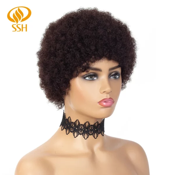 Brazilian Afro Kinky Wigs - Image 30