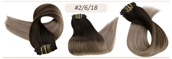 Clip In Hair Extensions Double Weft Straight - Image 45
