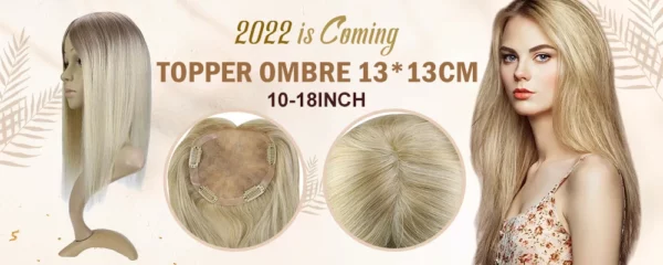 Clip In Human Hair Extensions - Image 34