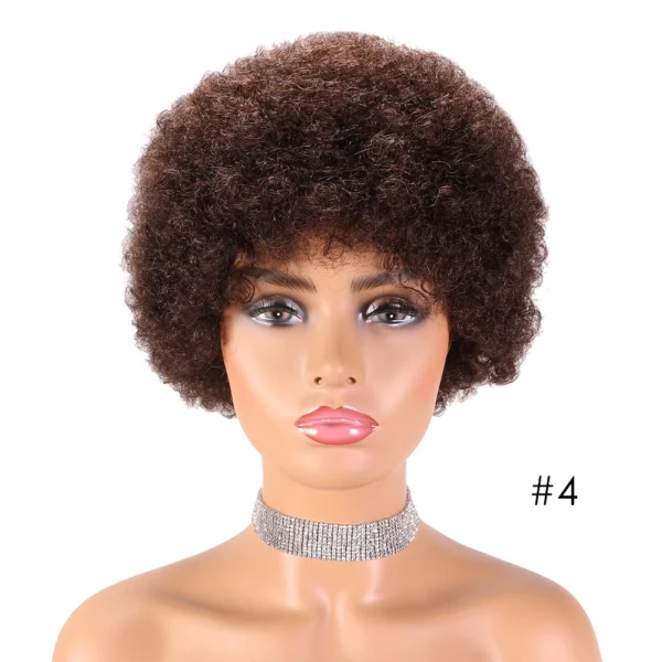 Brazilian Afro Wigs - Image 14