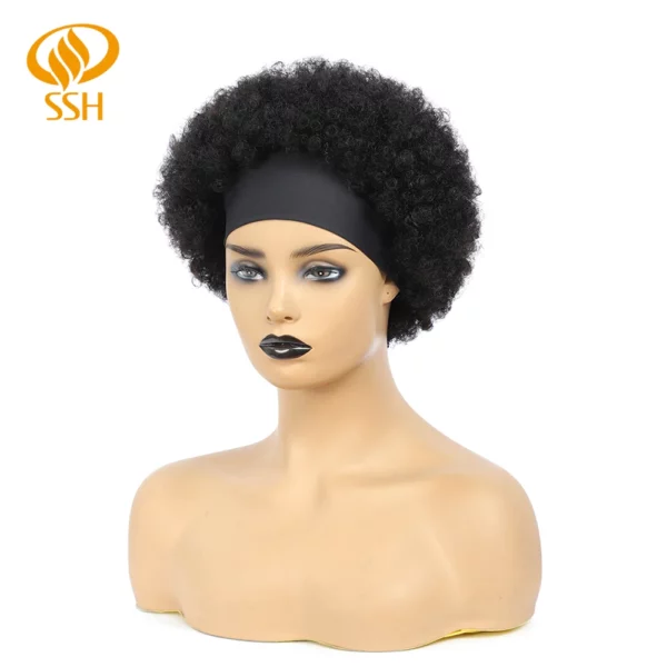 Brazilian Afro Kinky Wigs - Image 15