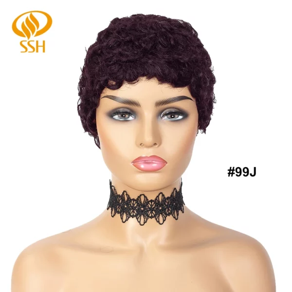 Brazilian Afro Curly Pixie Wig - Image 18