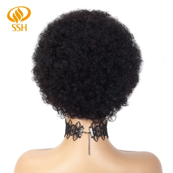 Brazilian Afro Kinky Wigs - Image 27