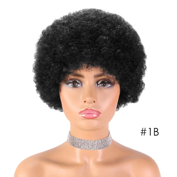 Brazilian Afro Wigs - Image 7