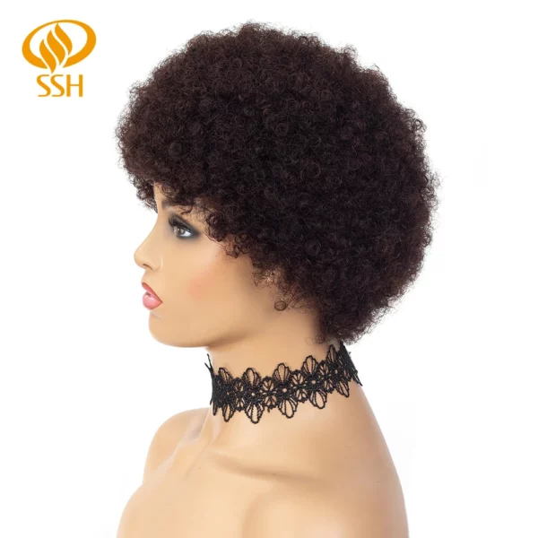 Brazilian Afro Kinky Wigs - Image 31