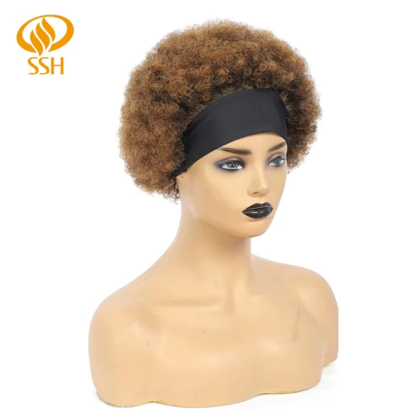 Brazilian Afro Kinky Wigs - Image 18