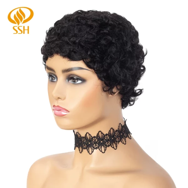 Brazilian Afro Curly Pixie Wig - Image 15