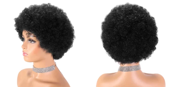 Brazilian Afro Wigs - Image 13