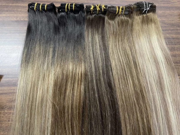 Clip In Hair Extensions Double Weft Straight - Image 32
