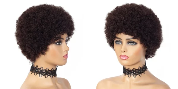 Brazilian Afro Wigs - Image 17