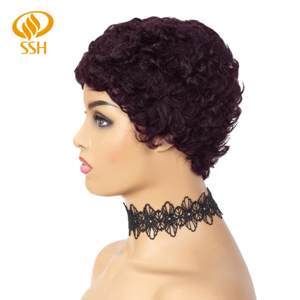 Brazilian Afro Curly Pixie Wig - Image 19