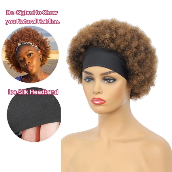 Brazilian Afro Kinky Wigs - Image 5