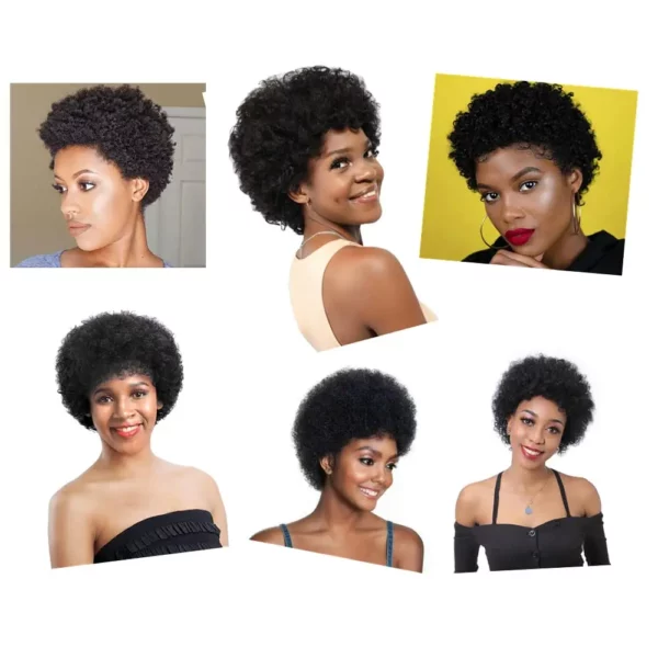 Brazilian Afro Wigs - Image 3