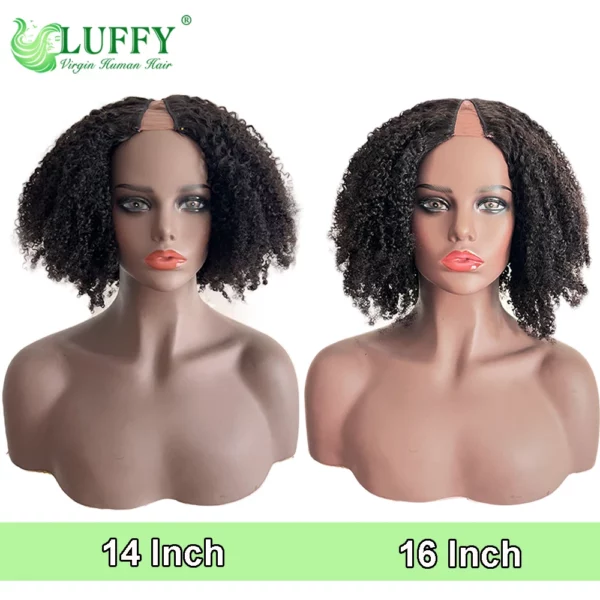 Brazilian Afro Kinky Wigs - Image 9