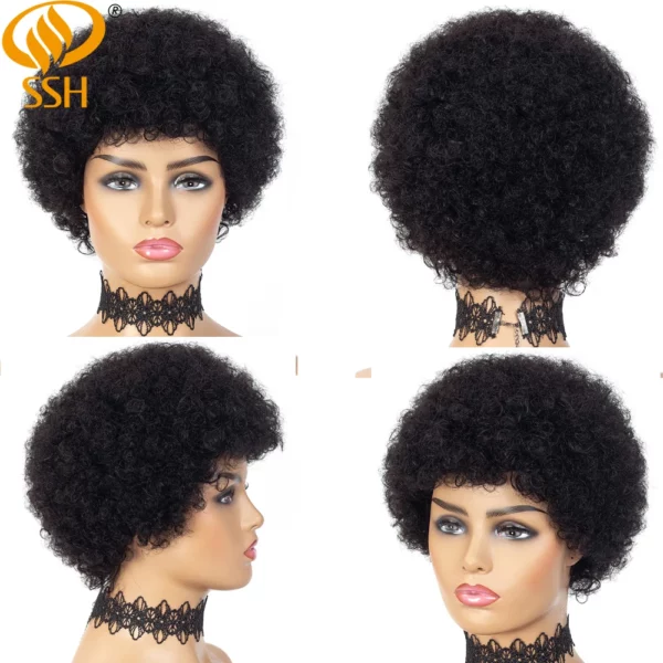 Brazilian Afro Wigs - Image 5