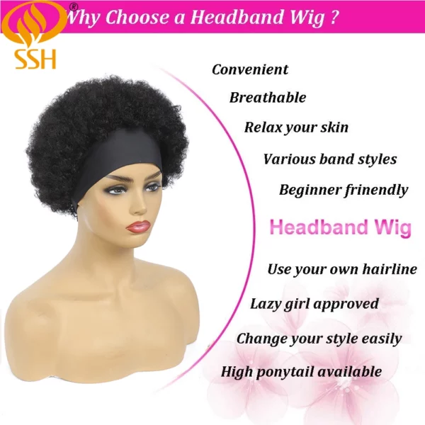 Brazilian Afro Kinky Wigs - Image 2