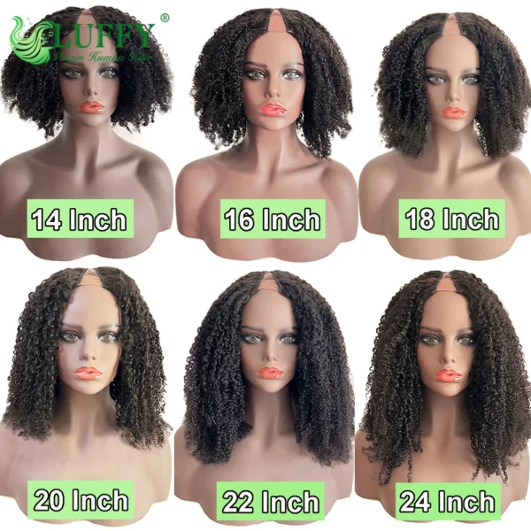 Brazilian Afro Kinky Wigs - Image 3