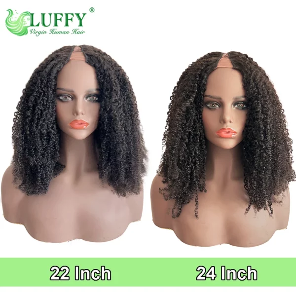 Brazilian Afro Kinky Wigs - Image 11