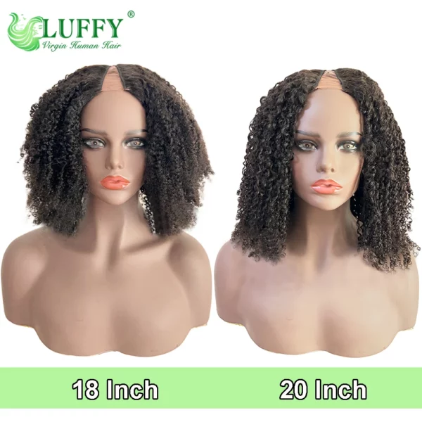 Brazilian Afro Kinky Wigs - Image 10