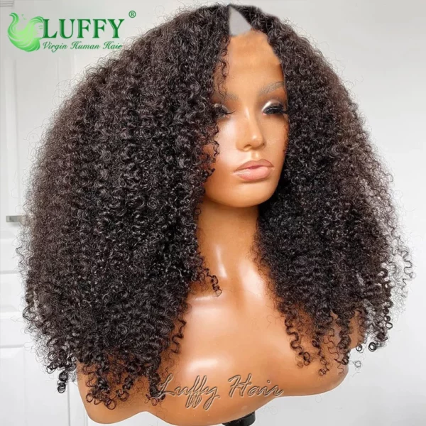 Brazilian Afro Kinky Wigs - Image 7