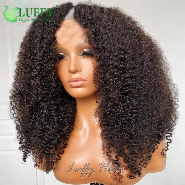 Brazilian Afro Kinky Wigs - Image 8