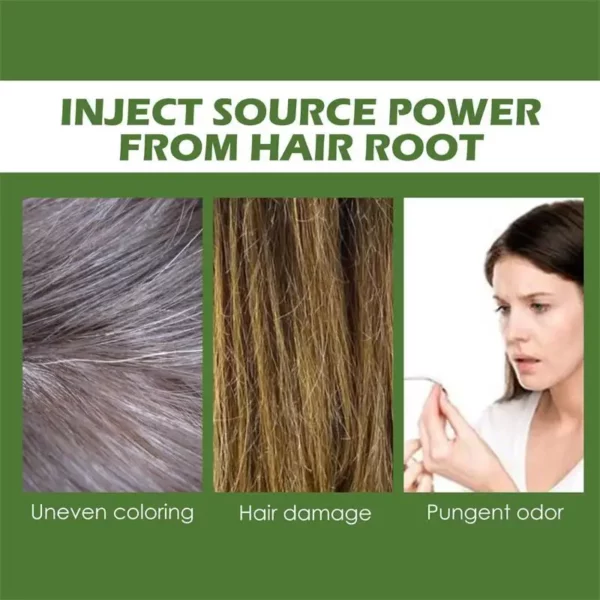 Pure Natural Herbal Hair Dye Shampoo - Image 18