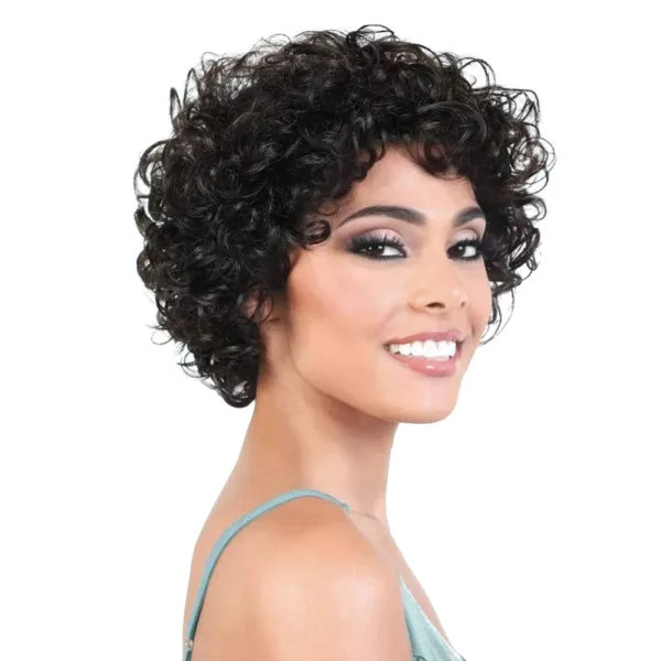 Short Afro Kinky Curly Wig
