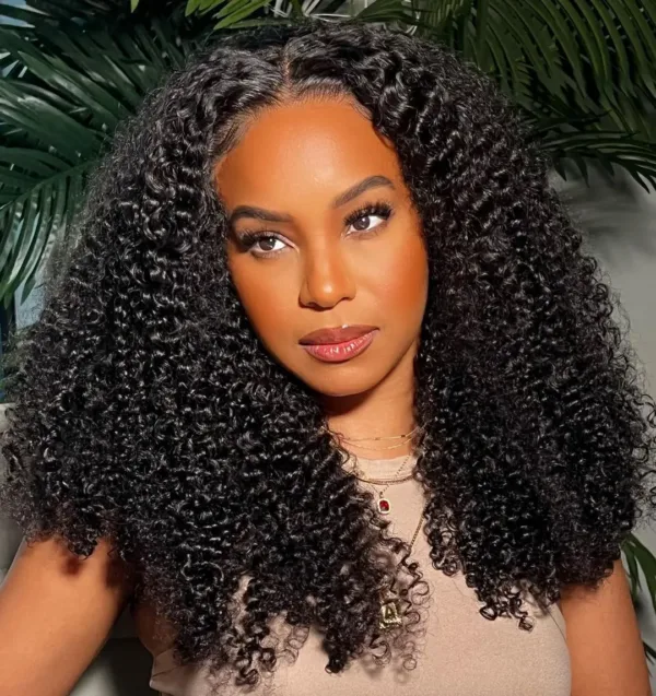 Afro Kinky Curly Wigs - Image 7